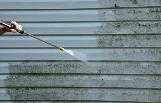 Best Fence Cleaning  in Sorrento, LA